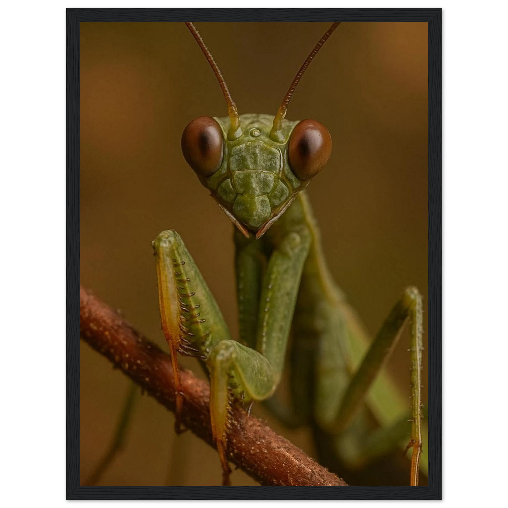 1e5b3e6d-08fd-4b7c-b8e8-b162cef1d601