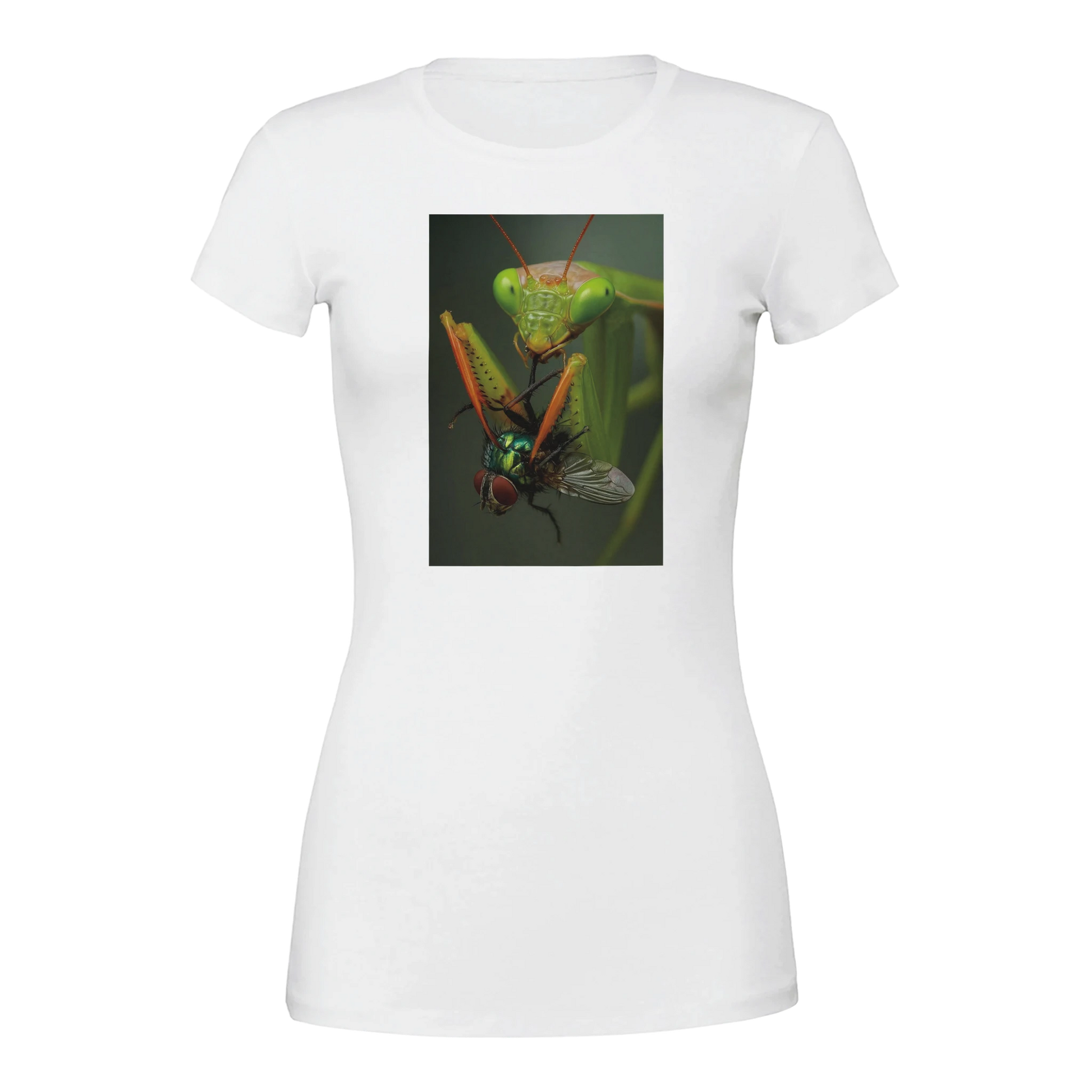 1fef44d3-94c2-4280-bc65-7d1896c00ba8