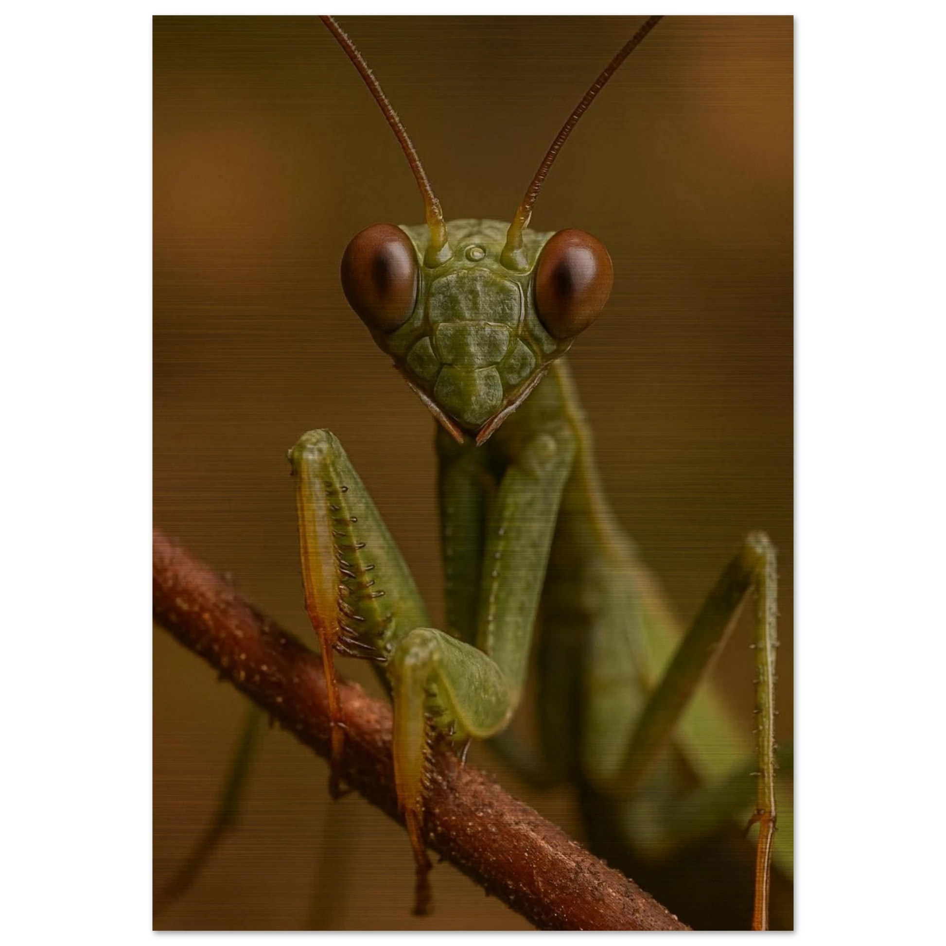 299e8db2-e252-49b7-bc34-2c870a83aaf8