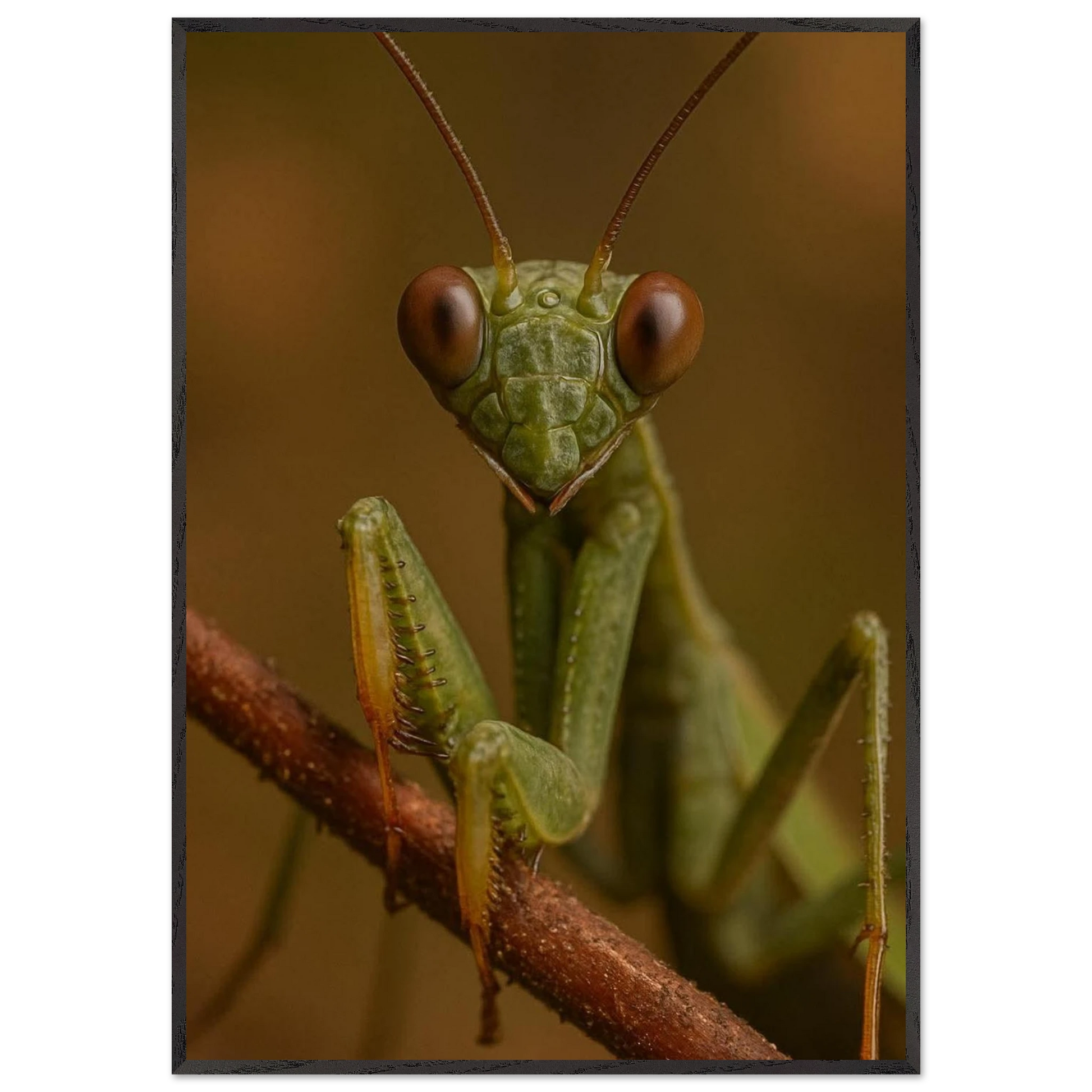 35a2c1bb-4d93-4f83-a7af-65b3d4c50017