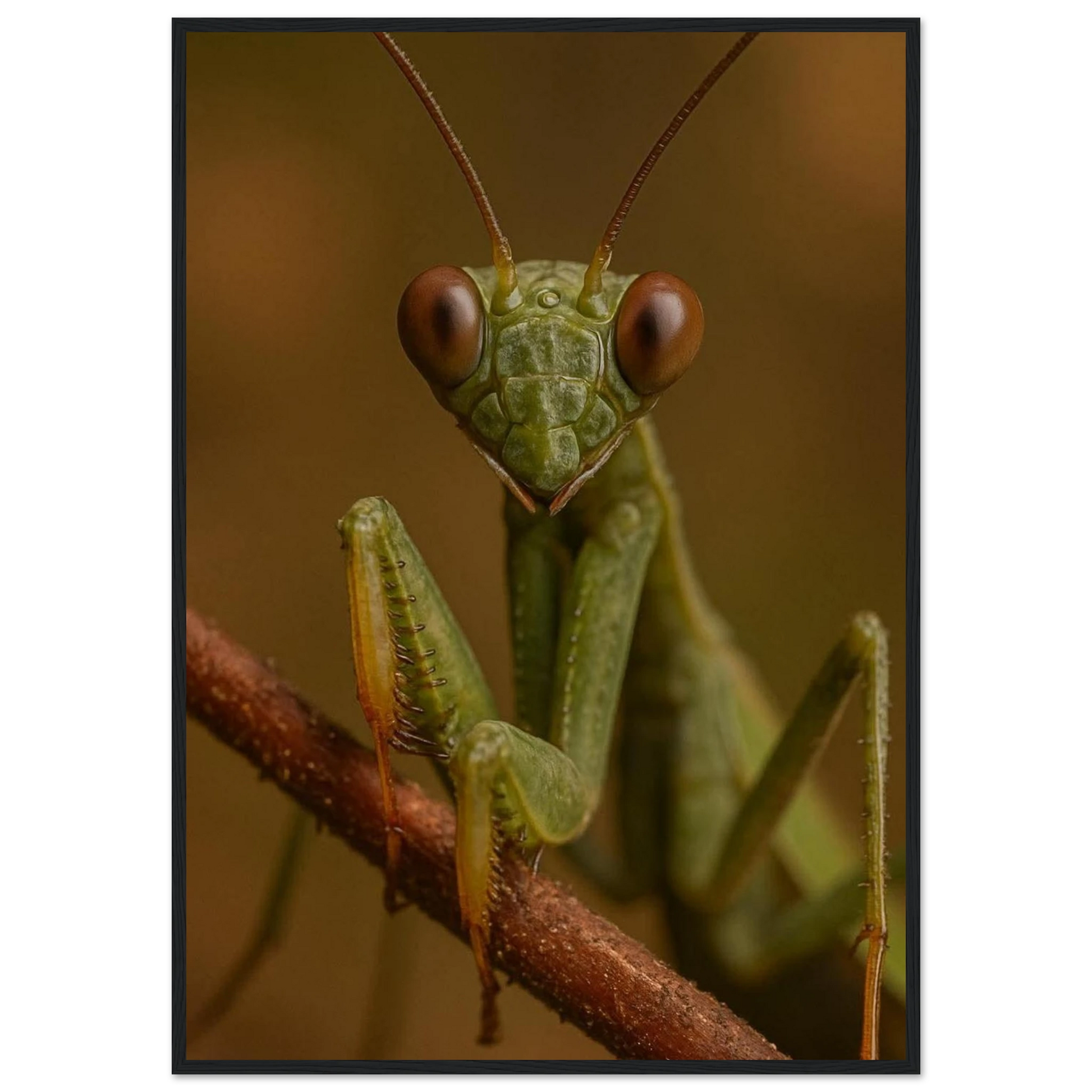 93828b8a-a8df-4284-9c5e-b2dd947933e6